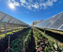 Solar/ Agricultural Farm